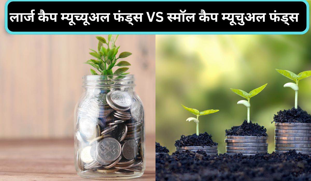 लार्ज कैप म्यूच्यूअल फंड्स VS स्मॉल कैप म्यूचुअल फंड्स