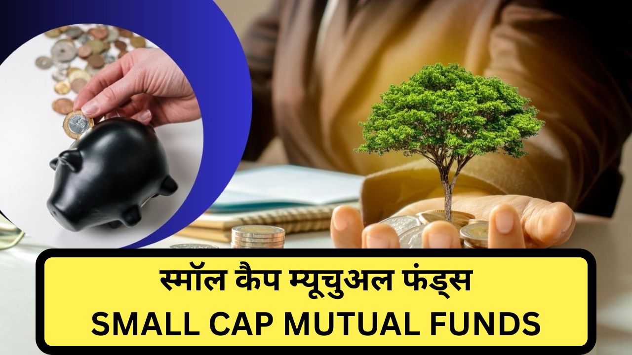 SMALL CAP MUTUAL FUNDS